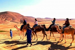 Atlas mountains and Berber villages & waterfall & camel ride