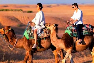 Atlas mountains and Berber villages & waterfall & camel ride