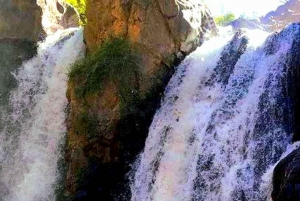 Atlas mountains and Berber villages & waterfall & camel ride