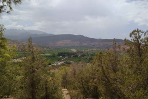 Atlasgebirge und Ourika-Tal mit einem Berber-Mittagessen