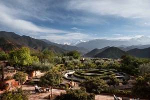Atlas Mountains and Ourika Valley with a berber lunch