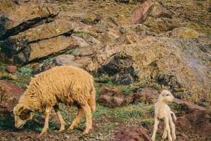 Atlas Mountains and three Valleys private Luxury Day Trip