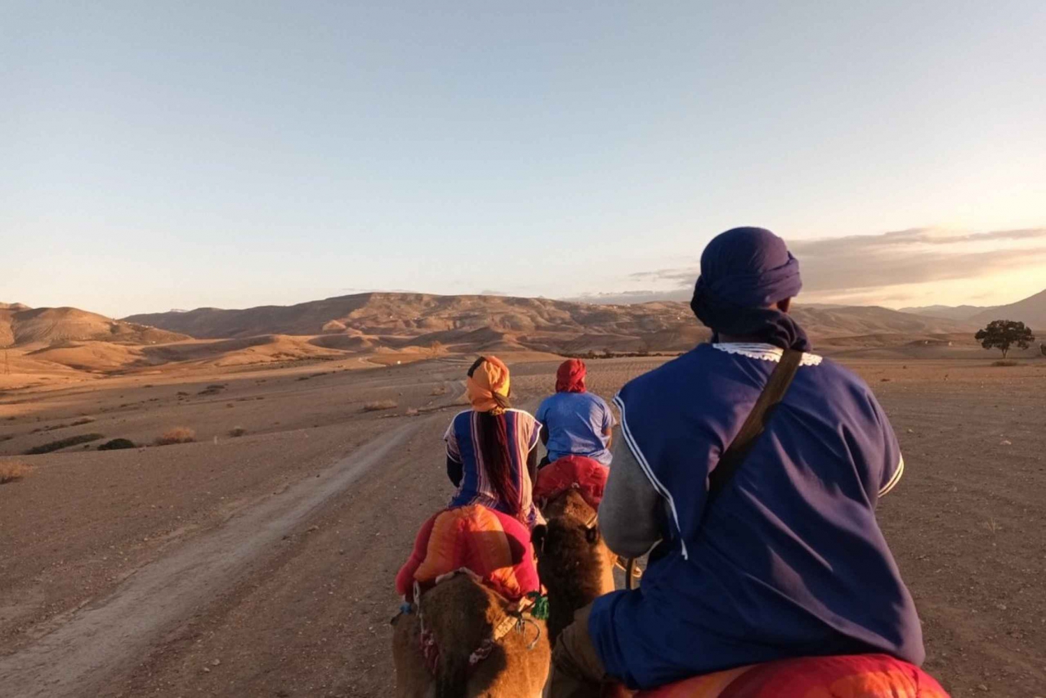 Atlas Mountains: Berber Villages, Waterfalls & Camel Ride