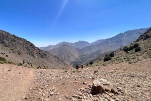 Agafay-öknen: marockansk middagsshow och kamelridning