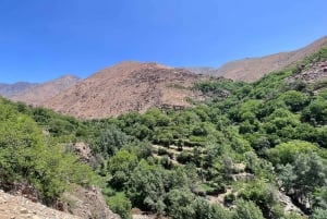 Agafay-öknen: marockansk middagsshow och kamelridning