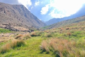 Agafay-öknen: marockansk middagsshow och kamelridning