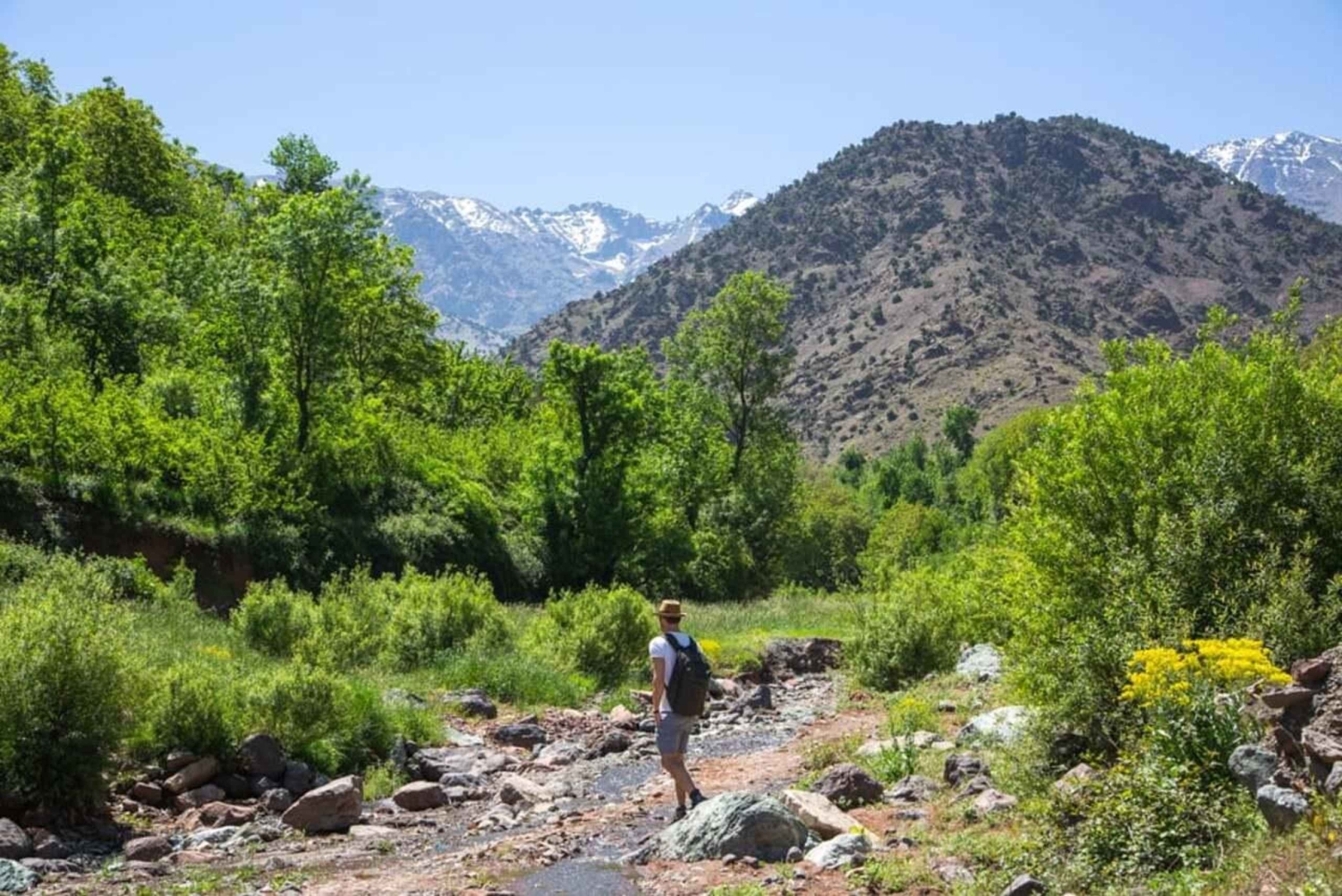 Tagestour durch das Atlasgebirge und Mittagessen in einem Familienhaus