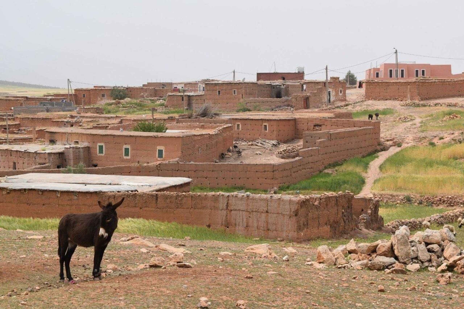 Tagestour durch das Atlasgebirge und Mittagessen in einem Familienhaus
