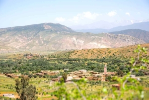 Tagestour durch das Atlasgebirge und Mittagessen in einem Familienhaus