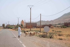 Tagestour durch das Atlasgebirge und Mittagessen in einem Familienhaus