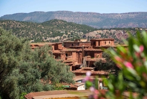 Tagestour durch das Atlasgebirge und Mittagessen in einem Familienhaus
