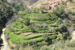 Tagestour durch das Atlasgebirge und Mittagessen in einem Familienhaus
