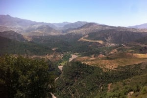 Marrakech : Excursion d'une journée dans les montagnes de l'Atlas et dîner au désert d'Agfay