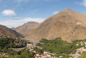 Marrakech : Excursion d'une journée dans les montagnes de l'Atlas et dîner au désert d'Agfay