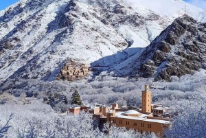 Montagnes de l'Atlas : randonnée d'une journée vers les villages berbères et les chutes d'eau