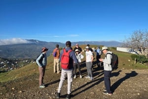 Excursión de un día al Atlas con cascadas y 3 valles