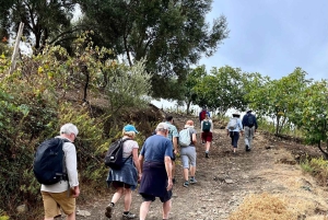 Excursión de un día al Atlas con cascadas y 3 valles