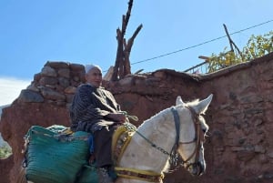 Excursión de un día al Atlas con cascadas y 3 valles