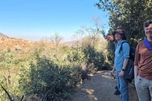 Excursión de un día al Atlas con cascadas y 3 valles