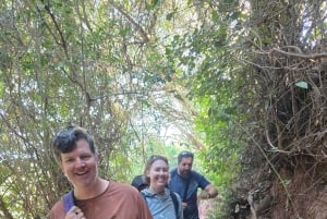 Excursión de un día al Atlas con cascadas y 3 valles