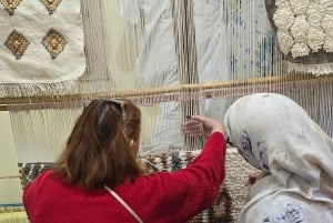 Excursión de un día al Atlas con cascadas y 3 valles