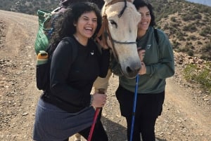 Excursión de un día al Atlas con cascadas y 3 valles