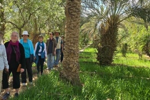 Excursión de un día al Atlas con cascadas y 3 valles