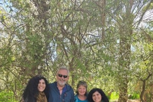 Excursión de un día al Atlas con cascadas y 3 valles