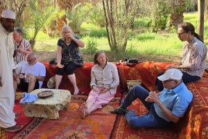 Excursión de un día al Atlas con cascadas y 3 valles