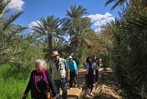 Excursión de un día al Atlas con cascadas y 3 valles