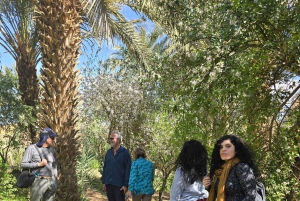 Excursión de un día al Atlas con cascadas y 3 valles