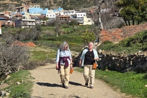 Excursión de un día al Atlas con cascadas y 3 valles
