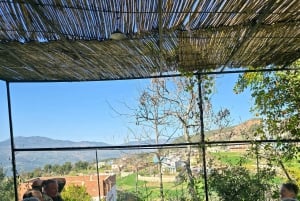 Excursión de un día al Atlas con cascadas y 3 valles