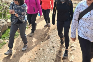 Caminhada nas montanhas do Atlas com cascatas e viagem de 1 dia aos 3 vales
