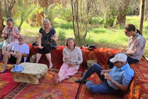 Caminhada nas montanhas do Atlas com cascatas e viagem de 1 dia aos 3 vales