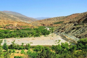Atlas Mountains: Ijoukak and 4 Valleys with Camel Ride