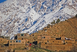 From Marrakech: Mountains & Ourika Valley Tour w/ Camel Ride