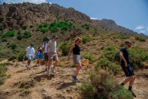Atlas Mountains & Ourika Valley Day Tour with Lunch