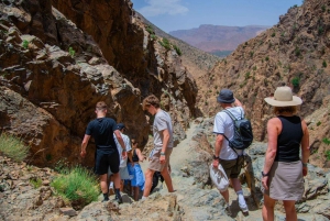 Atlas Mountains & Ourika Valley Day Tour with Lunch