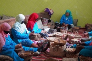 Dagsutflykt till Atlasbergen och Ourikadalen från Marrakech