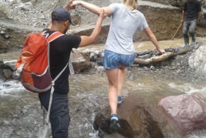 Dagsutflykt till Atlasbergen och Ourikadalen från Marrakech