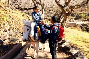 Dagsutflykt till Atlasbergen och Ourikadalen från Marrakech