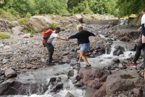 Dagsutflykt till Atlasbergen och Ourikadalen från Marrakech