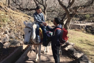 Dagsutflykt till Atlasbergen och Ourikadalen från Marrakech