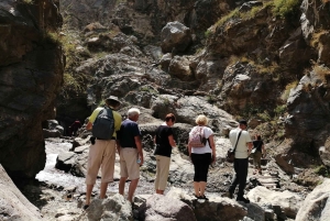 Dagsutflykt till Atlasbergen och Ourikadalen från Marrakech