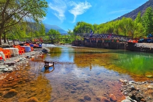 Dagsutflykt till Atlasbergen och Ourikadalen från Marrakech