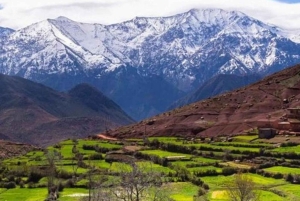 Dagsutflykt till Atlasbergen och Ourikadalen från Marrakech