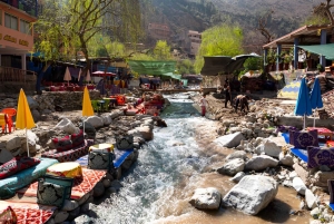 Dagsutflykt till Atlasbergen och Ourikadalen från Marrakech