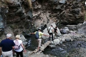 Dagsutflykt till Atlasbergen och Ourikadalen från Marrakech