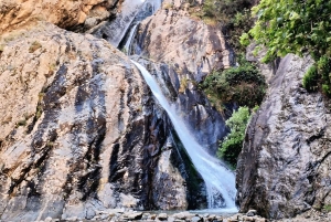 Dagsutflykt till Atlasbergen och Ourikadalen från Marrakech